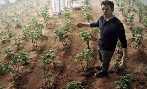 Growing Potatoes on Mars Could Actually Work
