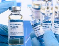 Pfizer in talks with govt to market covid-19 vaccine in India