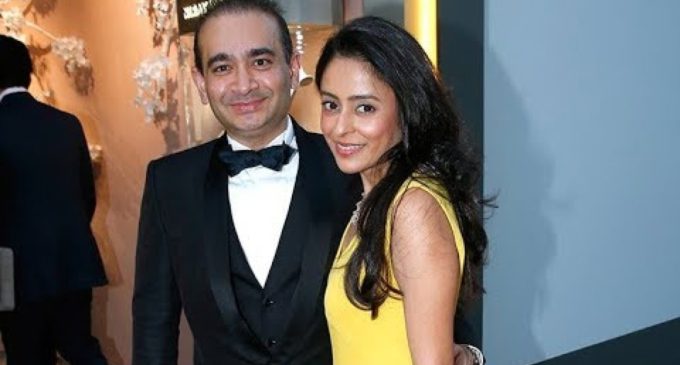 Interpol issues red notice against Nirav Modi’s wife on ED’s request in connection with money laundering case