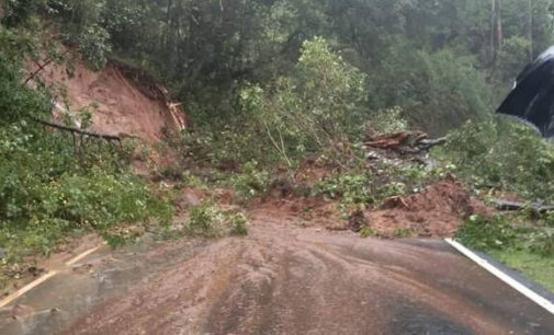 Massive landslide in Kerala’s Munnar