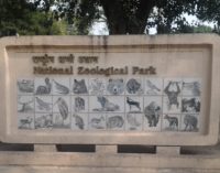 First Case Of Bird Flu Detected In Delhi Zoo
