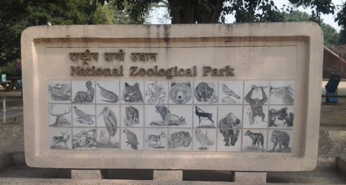 First Case Of Bird Flu Detected In Delhi Zoo